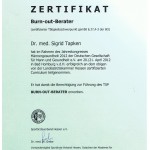 zertifikat-17